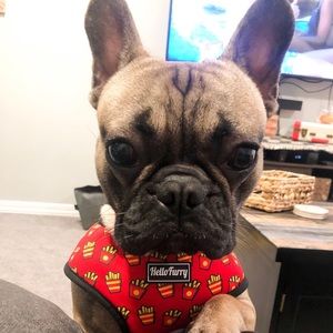 Meet your Posher, Alexa